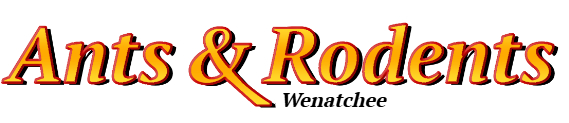 Wenatchee Ant Exterminator & Rodent Control Company Logo